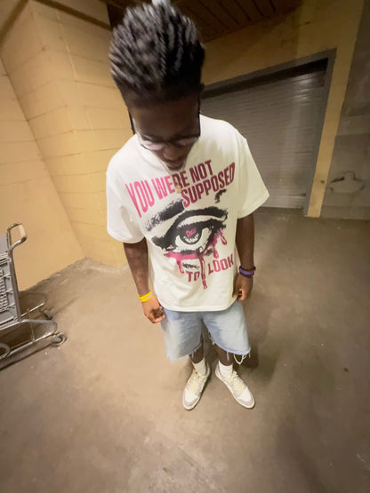 You Were Not Supposed to Look T-shirt